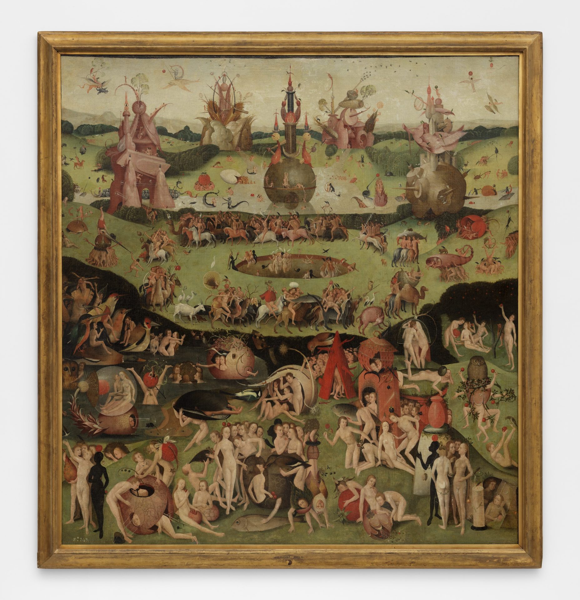- Earthly Canvas: Unleashing The Beauty Of Your Indoor Eden
