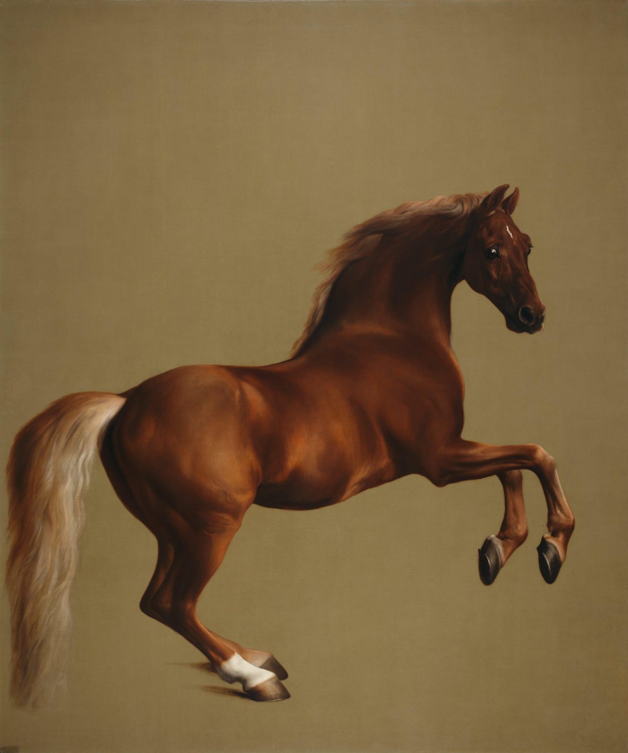 George Stubbs_Whistlejacket, The National Gallery, London