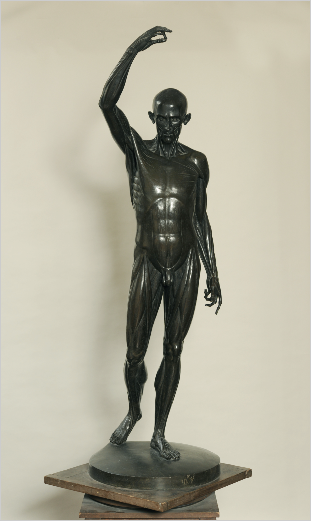 Jean-Antoine Houdon， Ecorché au bras tendu (Flayed Man), École nationale supérieure des beaux arts, Paris